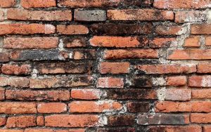 دربارۀ این مقاله بیشتر بخوانید علت قارچ و کپک نمای آجری و راهکار مقابله با آن